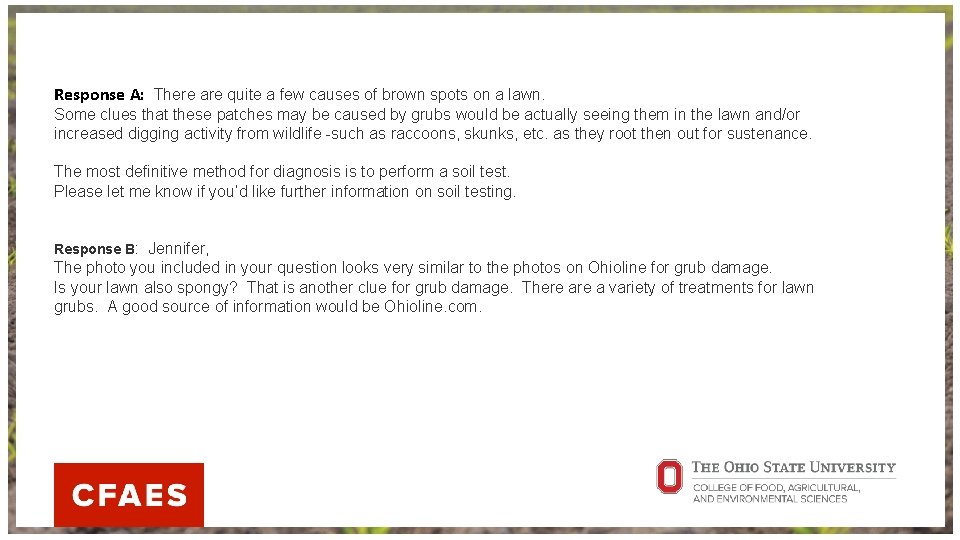 Response A: There are quite a few causes of brown spots on a lawn.