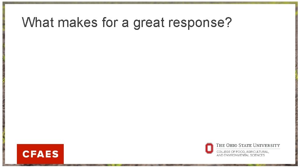 What makes for a great response? 