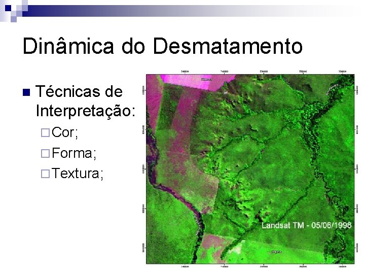 Dinâmica do Desmatamento n Técnicas de Interpretação: ¨ Cor; ¨ Forma; ¨ Textura; 