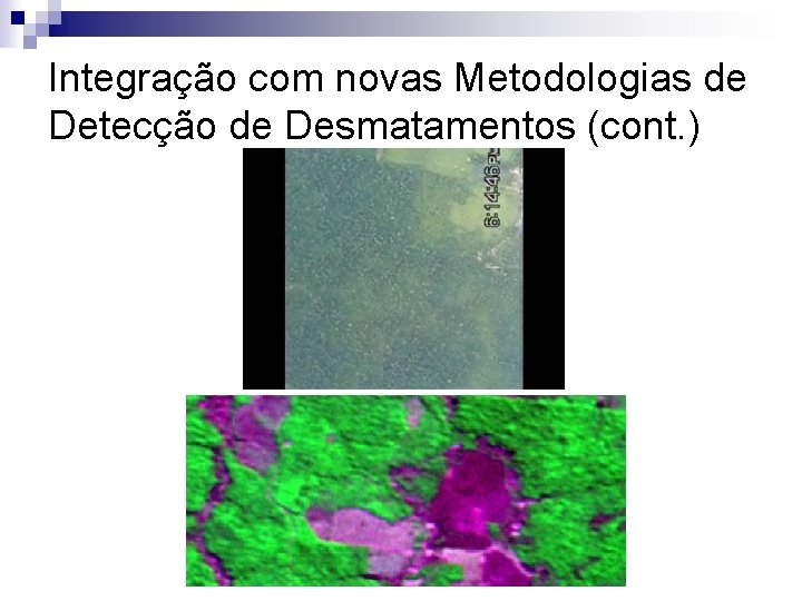 Integração com novas Metodologias de Detecção de Desmatamentos (cont. ) 