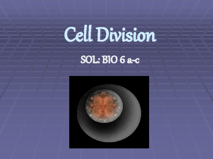 Cell Division SOL: BIO 6 a-c 