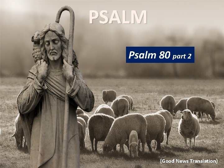 PSALM Psalm 80 part 2 (Good News Translation) 