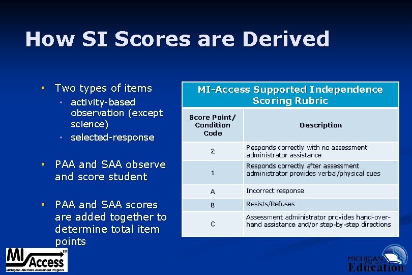 How SI Scores are Derived • Two types of items • activity-based observation (except