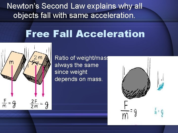 Newton’s Second Law explains why all objects fall with same acceleration. Free Fall Acceleration
