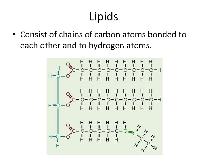 Lipids • Consist of chains of carbon atoms bonded to each other and to