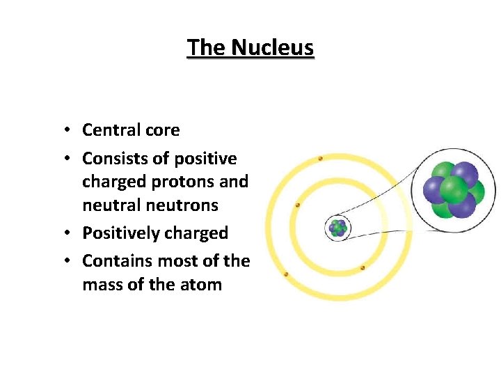 The Nucleus • Central core • Consists of positive charged protons and neutral neutrons