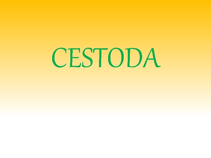 CESTODA 