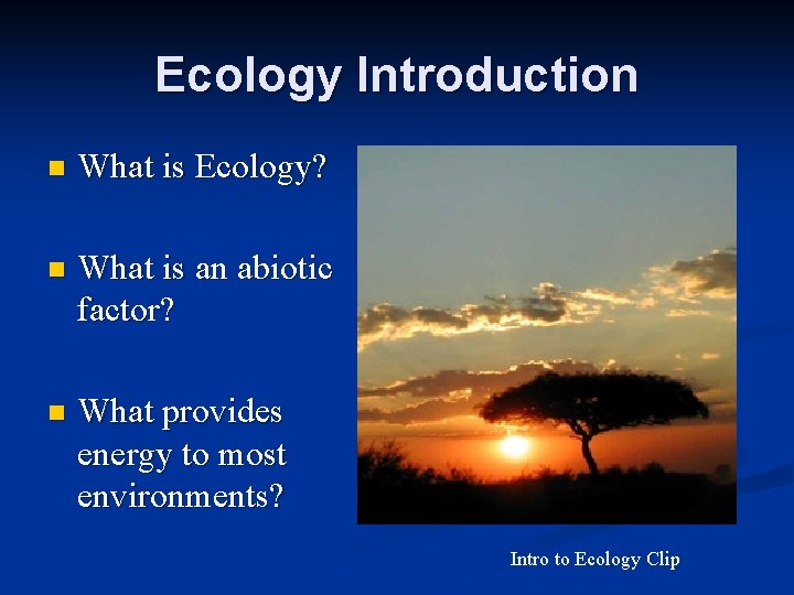 Ecology Introduction n What is Ecology? n What is an abiotic factor? n What