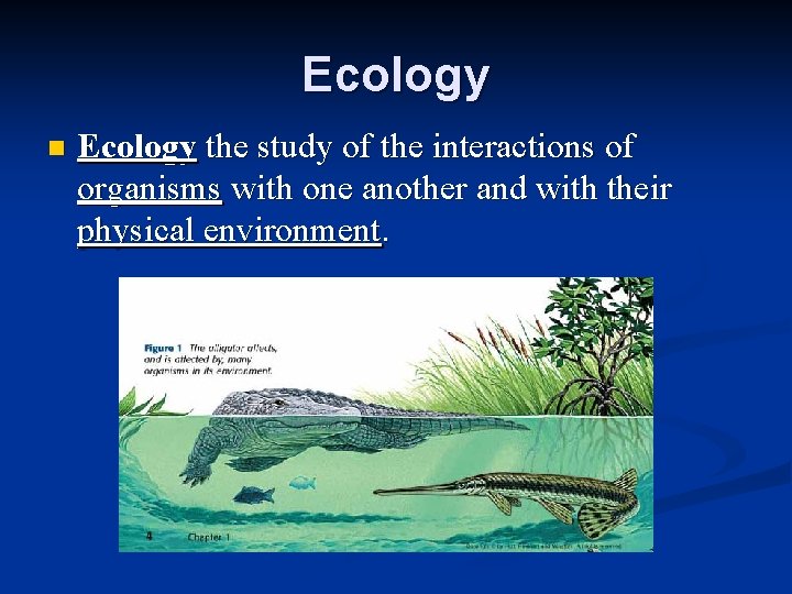 Ecology n Ecology the study of the interactions of organisms with one another and