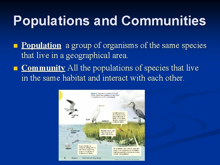 Populations and Communities n n Population a group of organisms of the same species