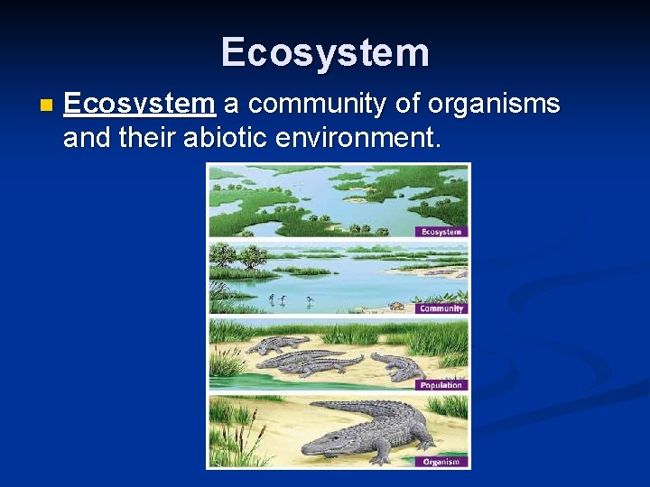 Ecosystem n Ecosystem a community of organisms and their abiotic environment. 