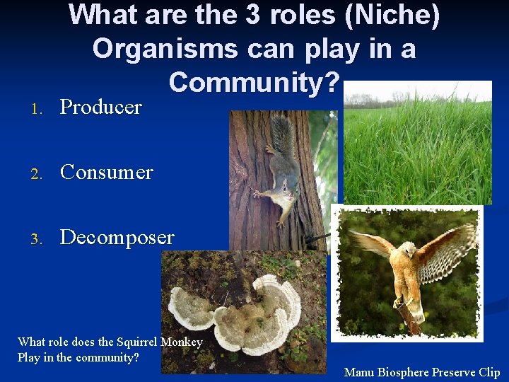 What are the 3 roles (Niche) Organisms can play in a Community? 1. Producer