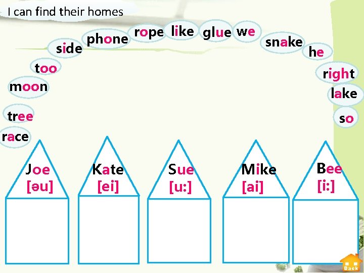 I can find their homes rope like glue we phone snake side he too