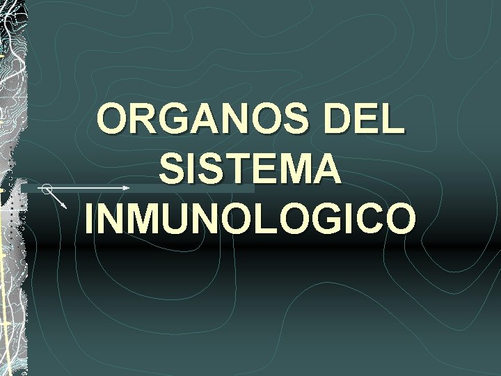 ORGANOS DEL SISTEMA INMUNOLOGICO 