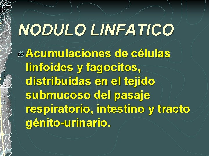 NODULO LINFATICO Acumulaciones de células linfoides y fagocitos, distribuídas en el tejido submucoso del