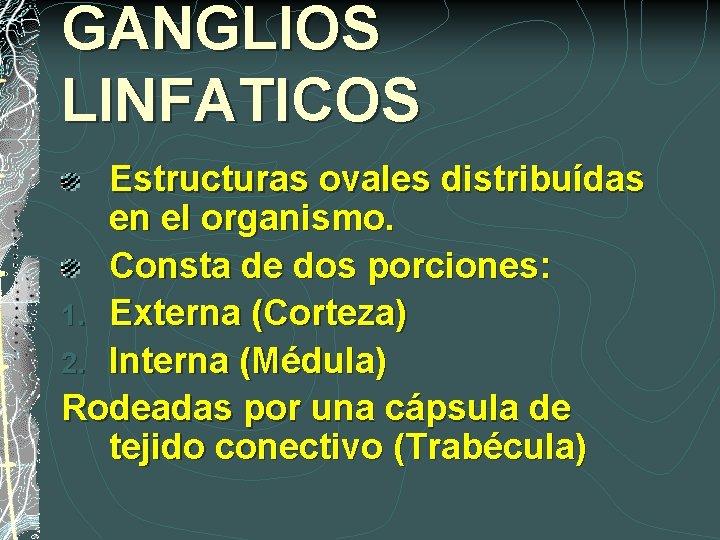 GANGLIOS LINFATICOS Estructuras ovales distribuídas en el organismo. Consta de dos porciones: 1. Externa