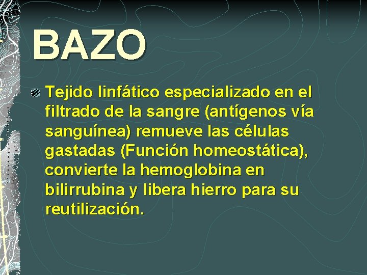 BAZO Tejido linfático especializado en el filtrado de la sangre (antígenos vía sanguínea) remueve
