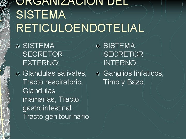 ORGANIZACION DEL SISTEMA RETICULOENDOTELIAL SISTEMA SECRETOR EXTERNO: Glandulas salivales, Tracto respiratorio, Glandulas mamarias, Tracto