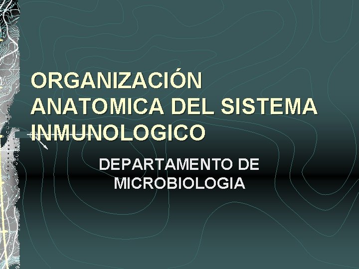 ORGANIZACIÓN ANATOMICA DEL SISTEMA INMUNOLOGICO DEPARTAMENTO DE MICROBIOLOGIA 