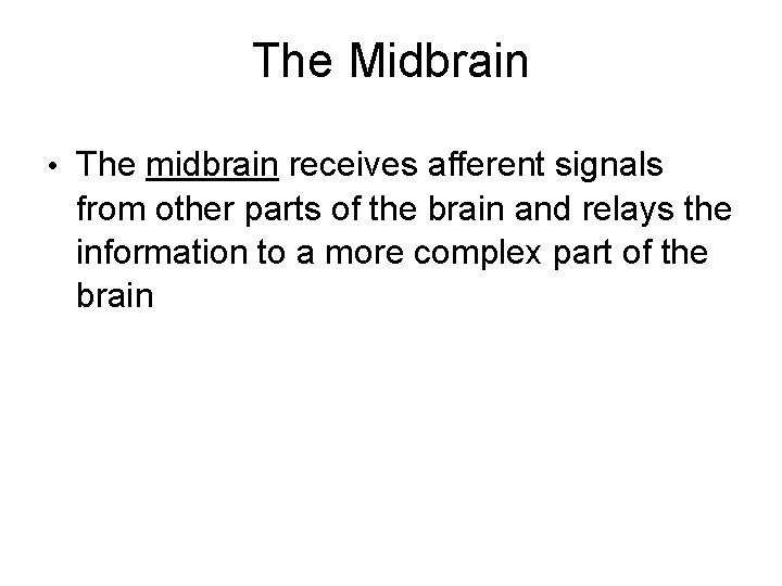 The Midbrain • The midbrain receives afferent signals from other parts of the brain