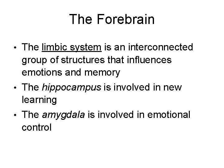 The Forebrain • The limbic system is an interconnected group of structures that influences