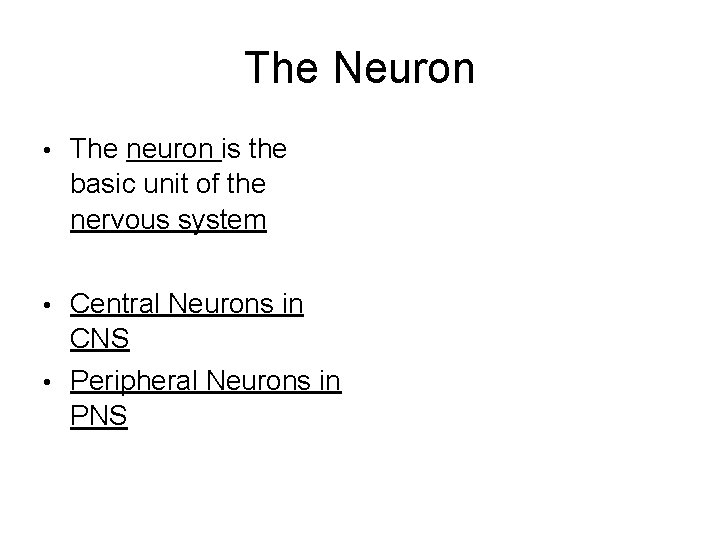 The Neuron • The neuron is the basic unit of the nervous system •