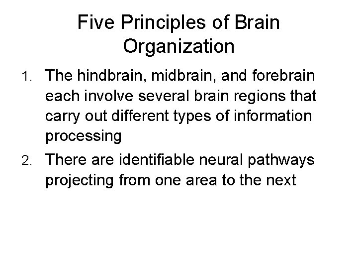 Five Principles of Brain Organization 1. The hindbrain, midbrain, and forebrain each involve several