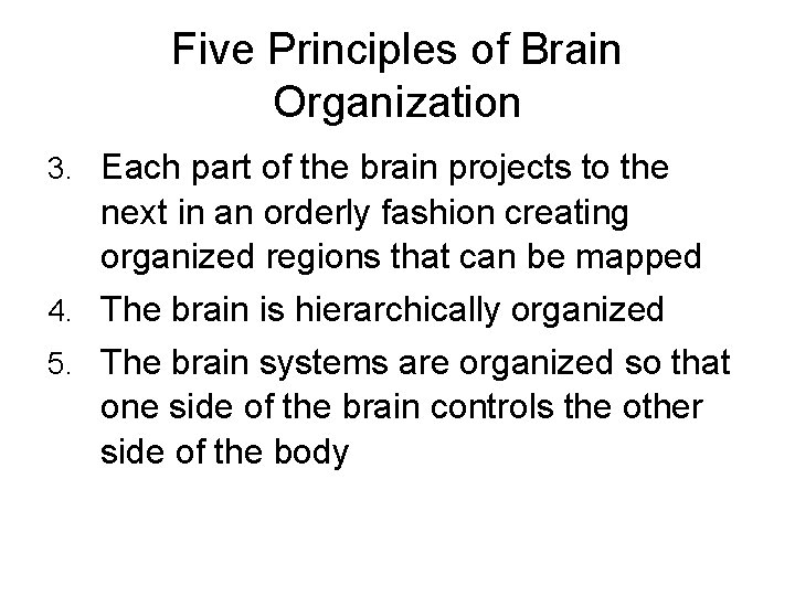 Five Principles of Brain Organization 3. Each part of the brain projects to the