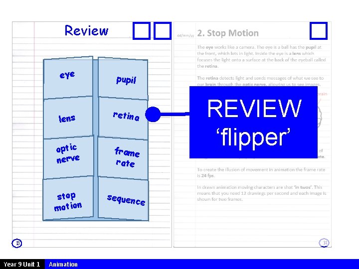 Review eye pupil lens retina optic nerve frame rate stop motion sequen ce 14