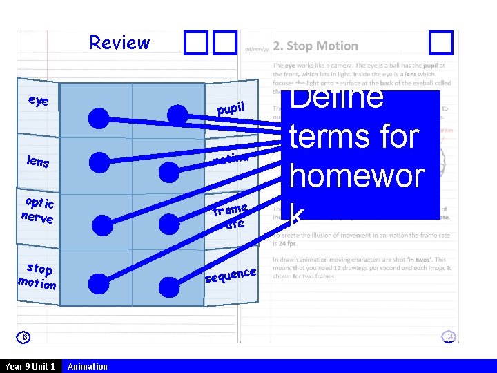 Review eye pupil retina lens optic nerve frame rate stop motion ce sequen 14