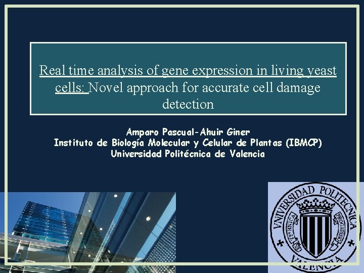 Real time analysis of gene expression in living yeast cells: Novel approach for accurate