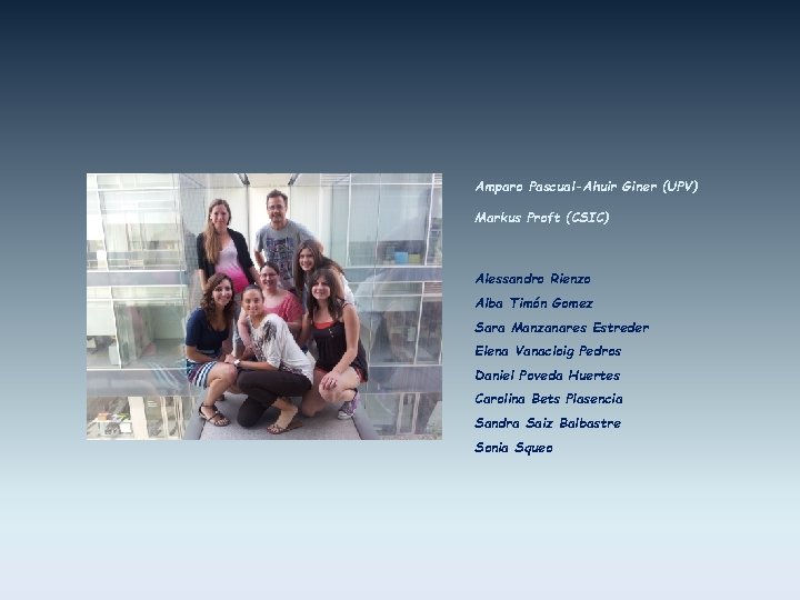 Amparo Pascual-Ahuir Giner (UPV) Markus Proft (CSIC) Alessandro Rienzo Alba Timón Gomez Sara Manzanares