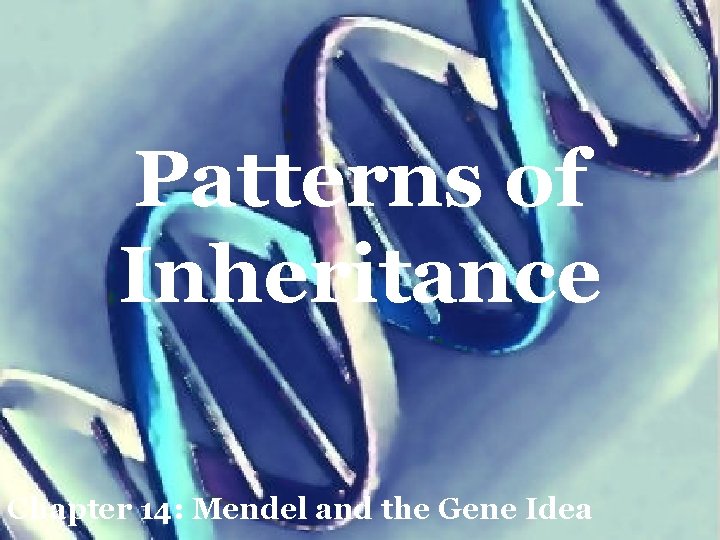 Patterns of Inheritance Chapter 14: Mendel and the Gene Idea 