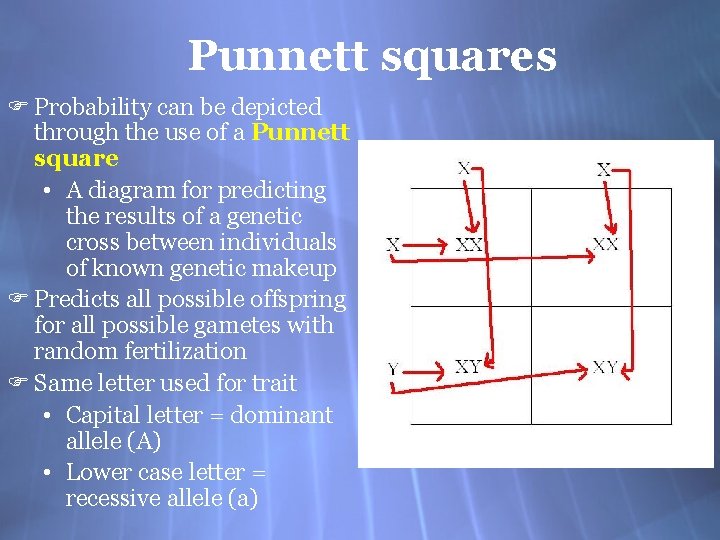 Punnett squares F Probability can be depicted through the use of a Punnett square