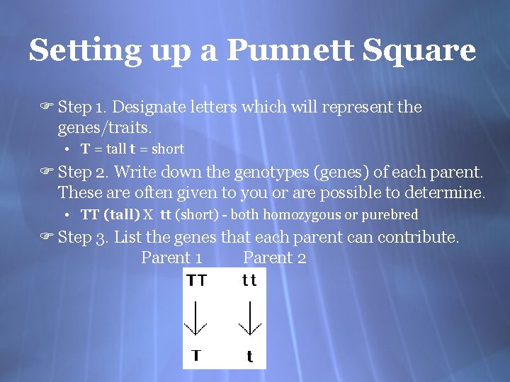 Setting up a Punnett Square F Step 1. Designate letters which will represent the