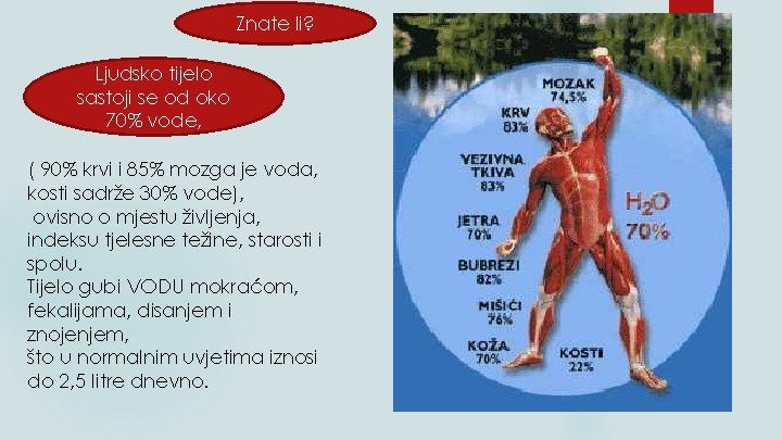 Znate li? Ljudsko tijelo sastoji se od oko 70% vode, ( 90% krvi i