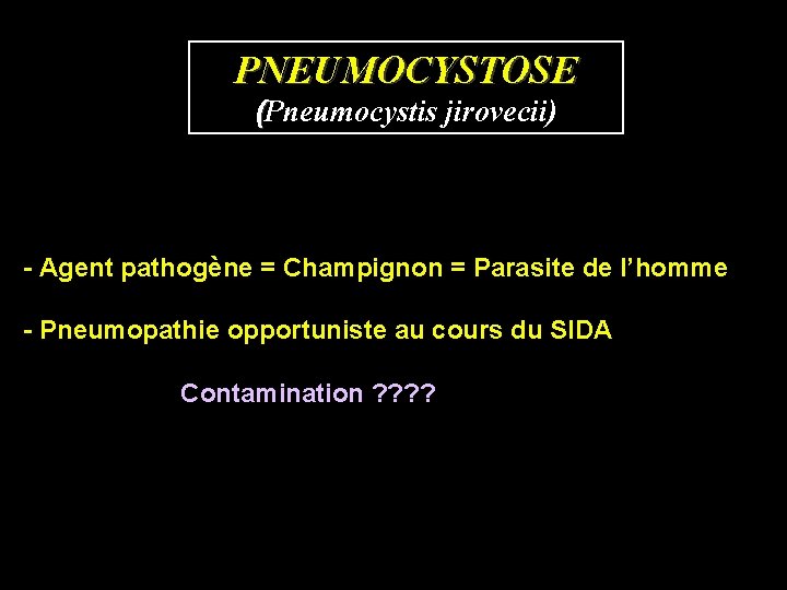 PNEUMOCYSTOSE (Pneumocystis jirovecii) - Agent pathogène = Champignon = Parasite de l’homme - Pneumopathie