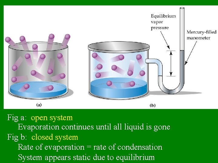 Fig a: open system Evaporation continues until all liquid is gone Fig b: closed