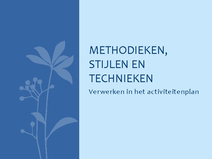 METHODIEKEN, STIJLEN EN TECHNIEKEN Verwerken in het activiteitenplan 