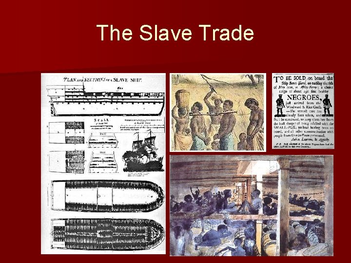 The Slave Trade 