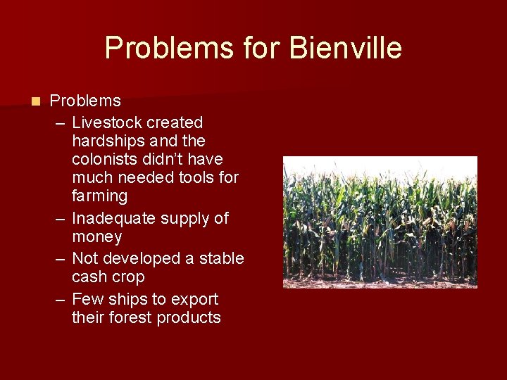 Problems for Bienville n Problems – Livestock created hardships and the colonists didn’t have