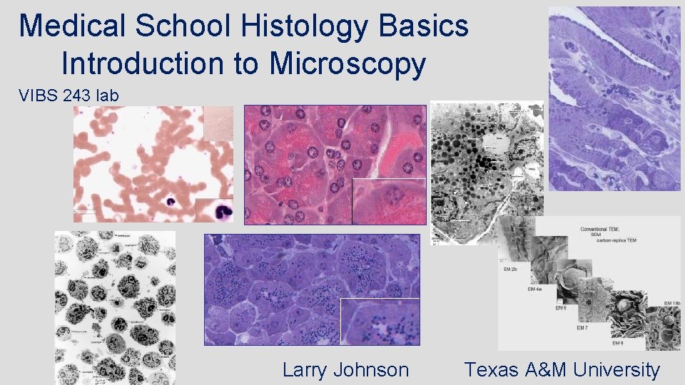 Medical School Histology Basics Introduction to Microscopy VIBS 243 lab Larry Johnson Texas A&M