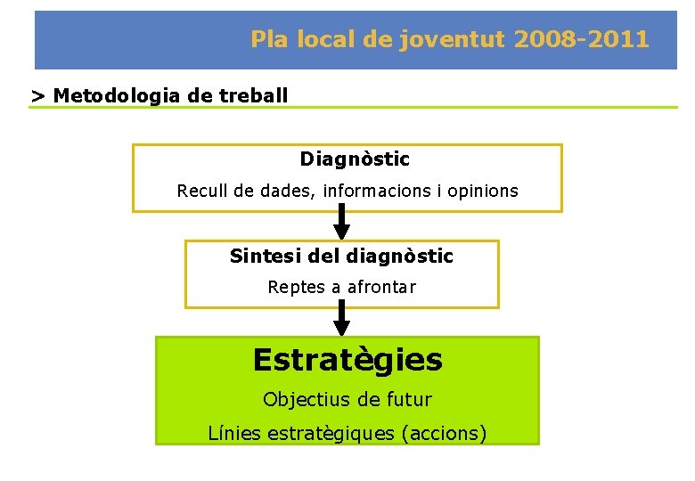 Pla local de joventut 2008 -2011 > Metodologia de treball Diagnòstic Recull de dades,