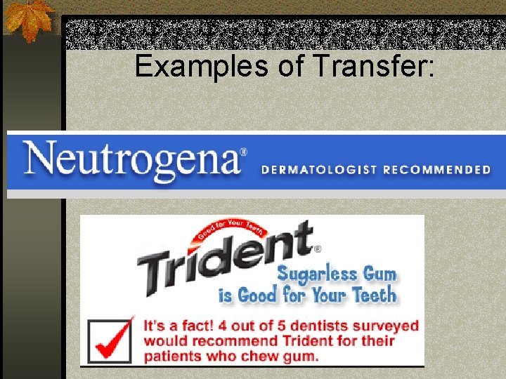 Examples of Transfer: 