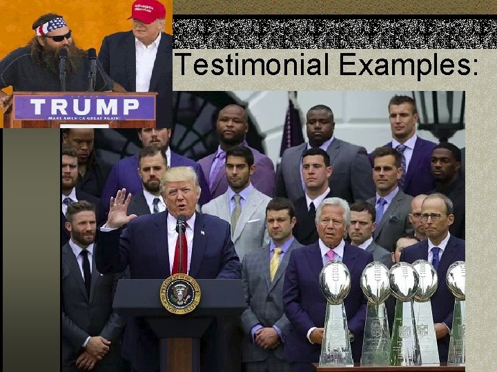 Testimonial Examples: 