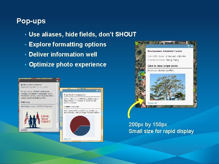 Pop-ups • Use aliases, hide fields, don’t SHOUT • Explore formatting options • Deliver