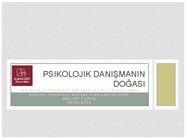 PSIKOLOJIK DANIŞMANIN DOĞASI REHBERLIK VE PSIKOLOJIK DANIŞMANLIK TEZLI YÜKSEK LISANS BIREYSEL PSIKOLOJIK DANIŞMA UYGULAMALARI