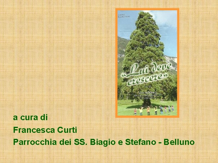 a cura di Francesca Curti Parrocchia dei SS. Biagio e Stefano - Belluno 