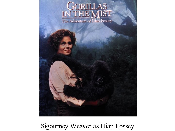 Sigourney Weaver as Dian Fossey 