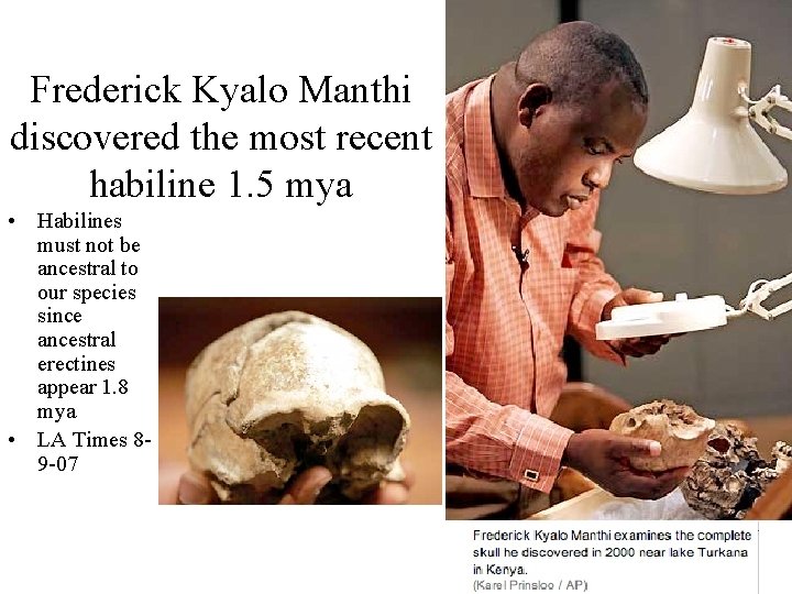 Frederick Kyalo Manthi discovered the most recent habiline 1. 5 mya • Habilines must